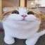 W W W
