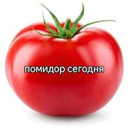 edgarnothere