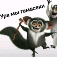 Гамасек