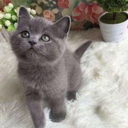 ꧁❁乐❀乐❁꧂