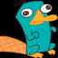 Perry The Platypus