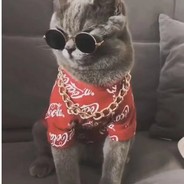 我已经不喜欢地球人了