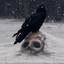 SadCrow_