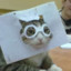 Bespectacled Cat