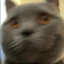 eduardo