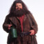 Rubeus Hagrid