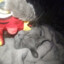 meow_