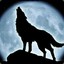 DarkWolf