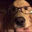 Kaby's avatar