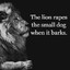 The Lion