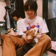 漳州第一渣男周灿军