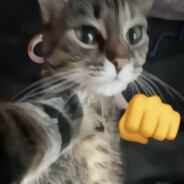 你太baby辣一大飞脚好悬没给我李宁踹开线了