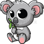 Koala