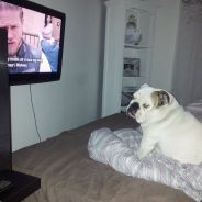 retardo - steam id 76561197960335462