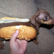 Dogonabun