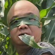 玩家头像