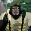 Mr. Orangutan