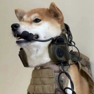 对不起我射歪了