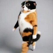 c0n3ct0r666 - steam id 76561199784859278