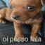 oi posso fala