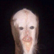 ₭ổ®ổζèβã™