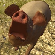 Mr.Vsraty