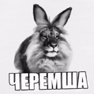 большие сиськи