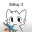 Avatar of player Blåhaj Fan