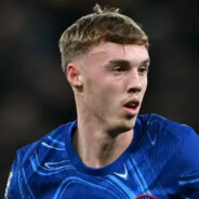 要突没突要传没传