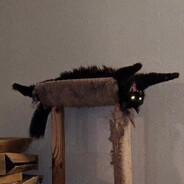 柠檬雪宝贩卖部