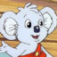 blinky bill