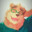 Strokey the Bear ✪ ni
