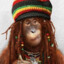 Reggae Monkey