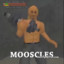 MUSKLES