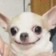 היי, מה שלומך