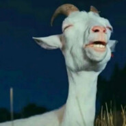 ❀品世间O派❀享舒适人