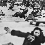 ₦︎ⅈ︎ℎ︎∀∀