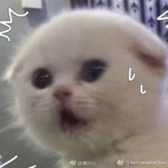 大耳朵瓦尔基里