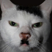 Kitler Steam avatar
