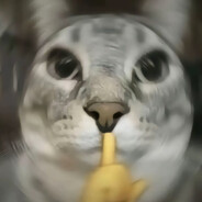 樱岛羊了像有麻衣在爬