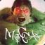 Der MoCCa