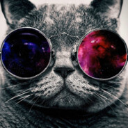 Bebis1337 - steam id 76561199817405246