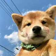 东北最后一处男