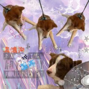 我是一只绵羊 ,  我失绵