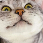 我帮你修机你还砍我？