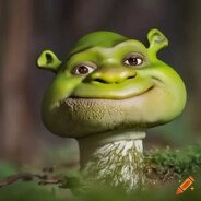 абсолют сигма52