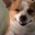 RoseyPeaches avatar