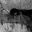 SilentXiI