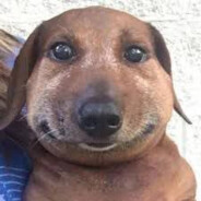 витек про644