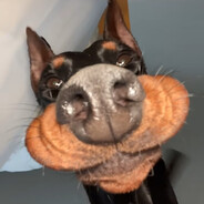 .Acey